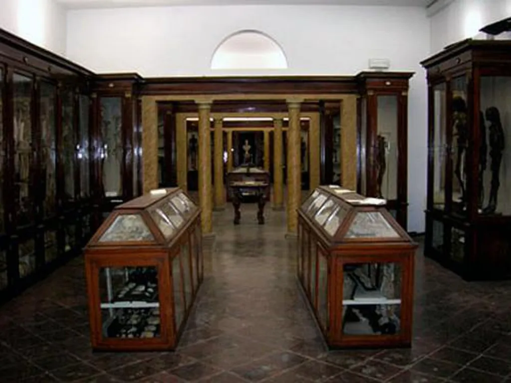 Museo Anatomico e Teatro Anatomico di Modena