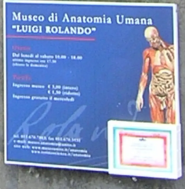 Museo di Anatomia Umana Luigi Rolando in Turin