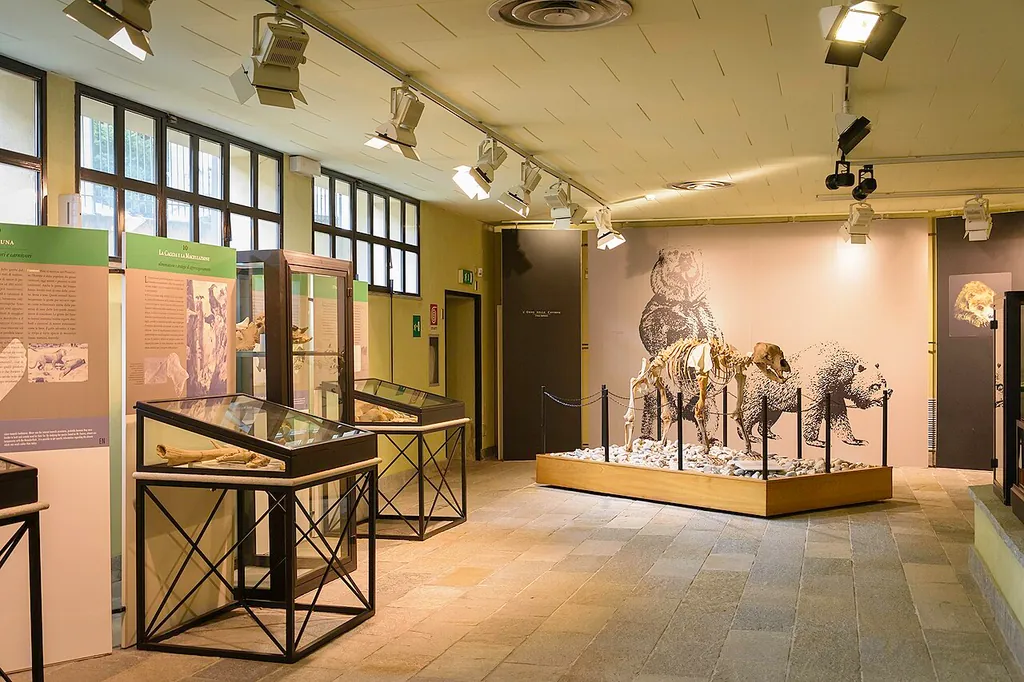 Museo di archeologia e paleontologia "Carlo Conti" in Borgosesia