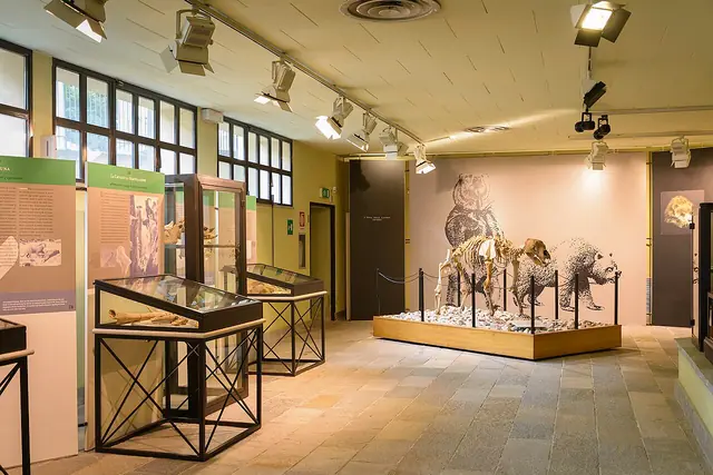 Museo di archeologia e paleontologia "Carlo Conti" in Borgosesia