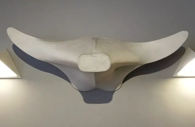 Pinacoteca di arte moderna di Avezzano