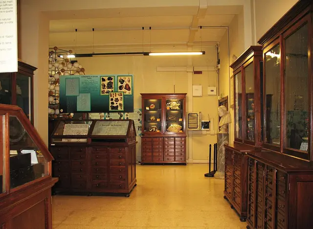 MUST – Museo Universitario di Scienze della Terra in Rím