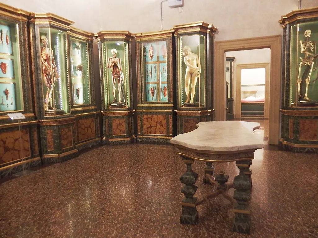 Museo di palazzo Poggi in Bologna