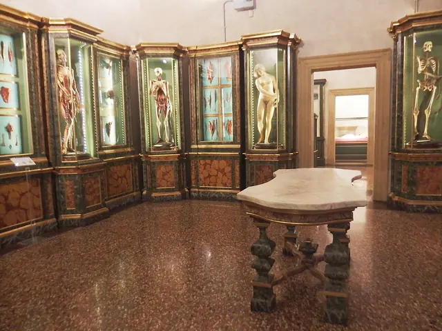 Museo di palazzo Poggi in Bologna
