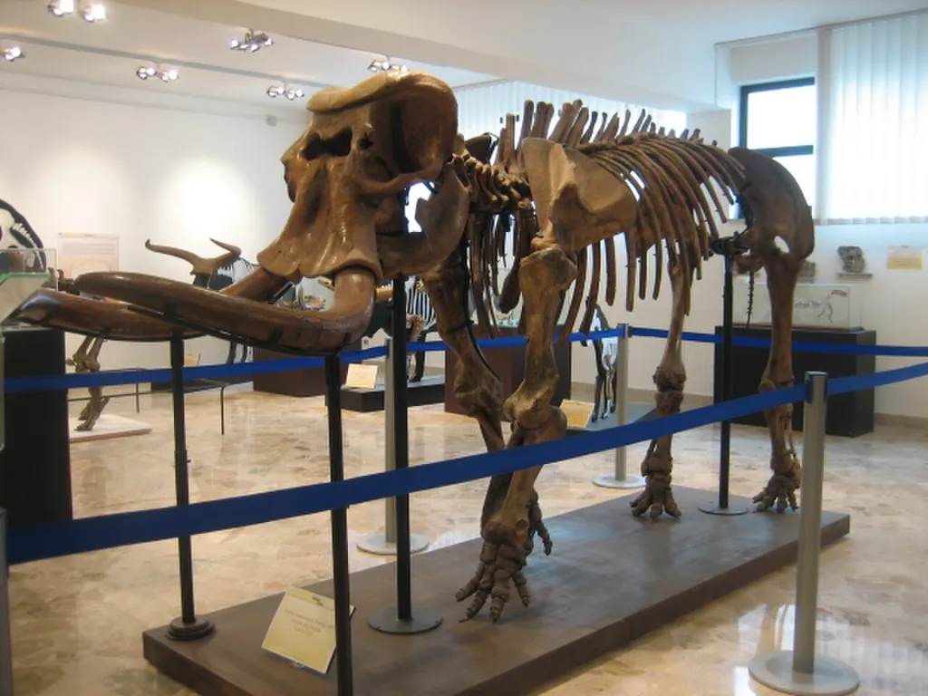 Museo di Geologia e Paleontologia «Gaetano Giorgio Gemmellaro» in Palermo