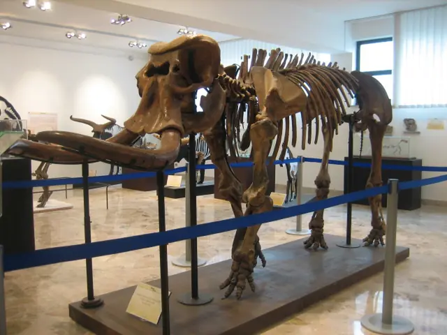 Museo di Geologia e Paleontologia «Gaetano Giorgio Gemmellaro» in Palermo