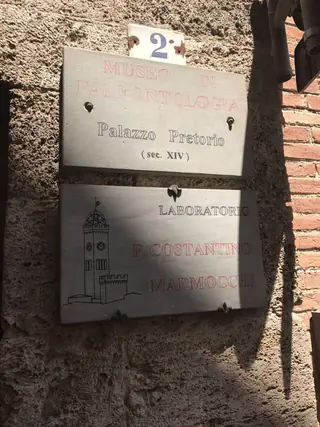 Museo di paleontologia Francesco Costantino Marmocchi in Poggibonsi