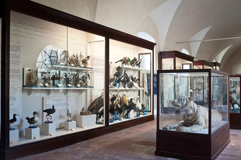 Museo di Storia Naturale dell'Università di Pisa in Calci – Foto 2 di 6