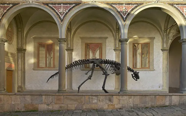 Museo di Storia Naturale dell'Università di Pisa in Calci – Foto 3 di 6