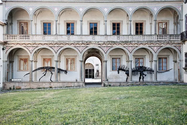 Museo di Storia Naturale dell'Università di Pisa in Calci