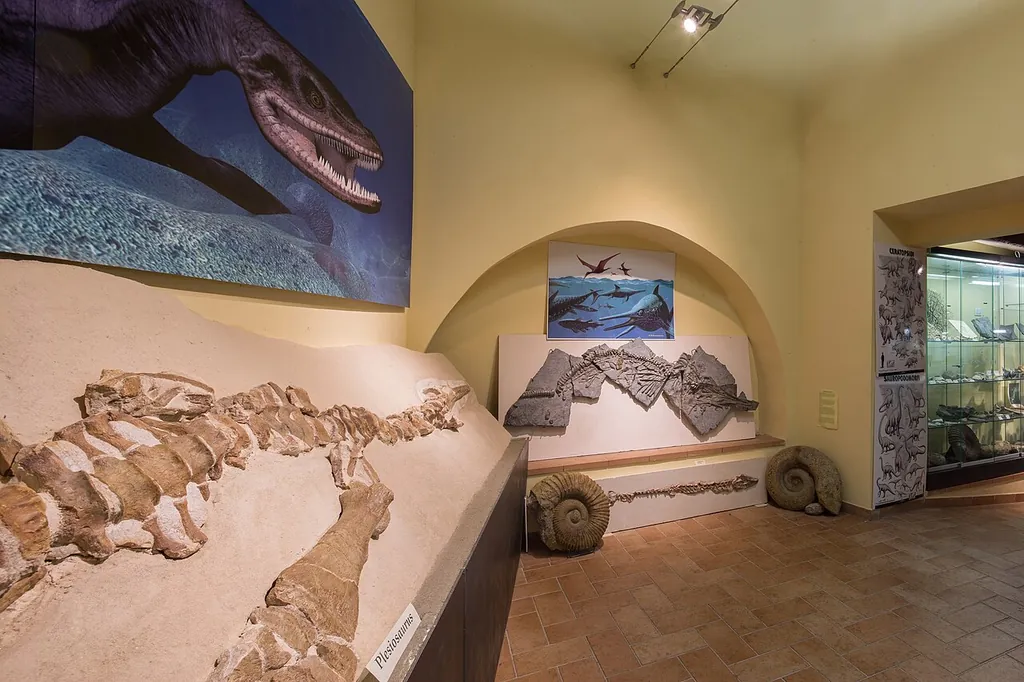 Museo di storia naturale di Gagliole