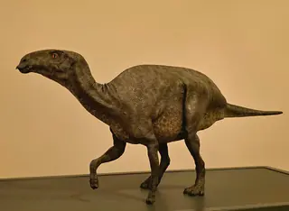 Museo di storia naturale di Trieste – Photo 2 of 2