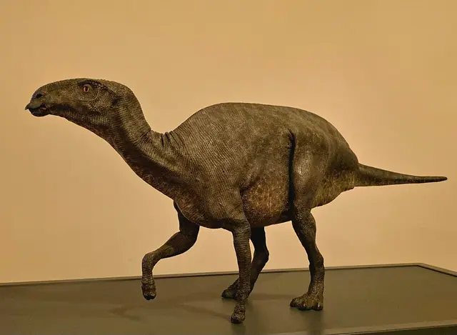 Museo di storia naturale di Trieste – Photo 2 of 2