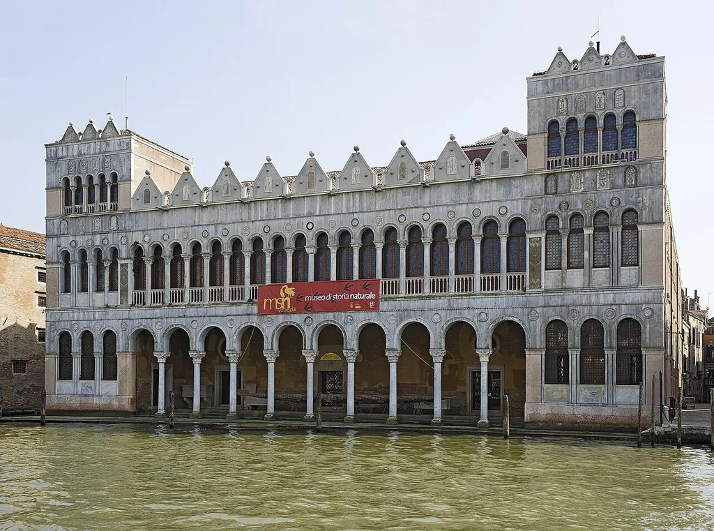 Museo di storia naturale di Venezia Giancarlo Ligabue in Venice
