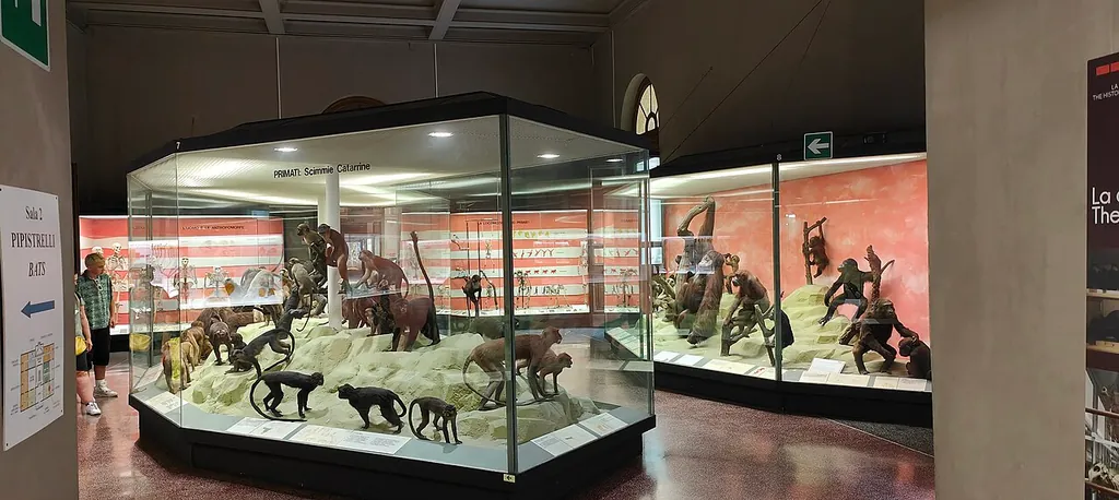 Museo di Storia Naturale Giacomo Doria in Genua – Bild 6 von 8
