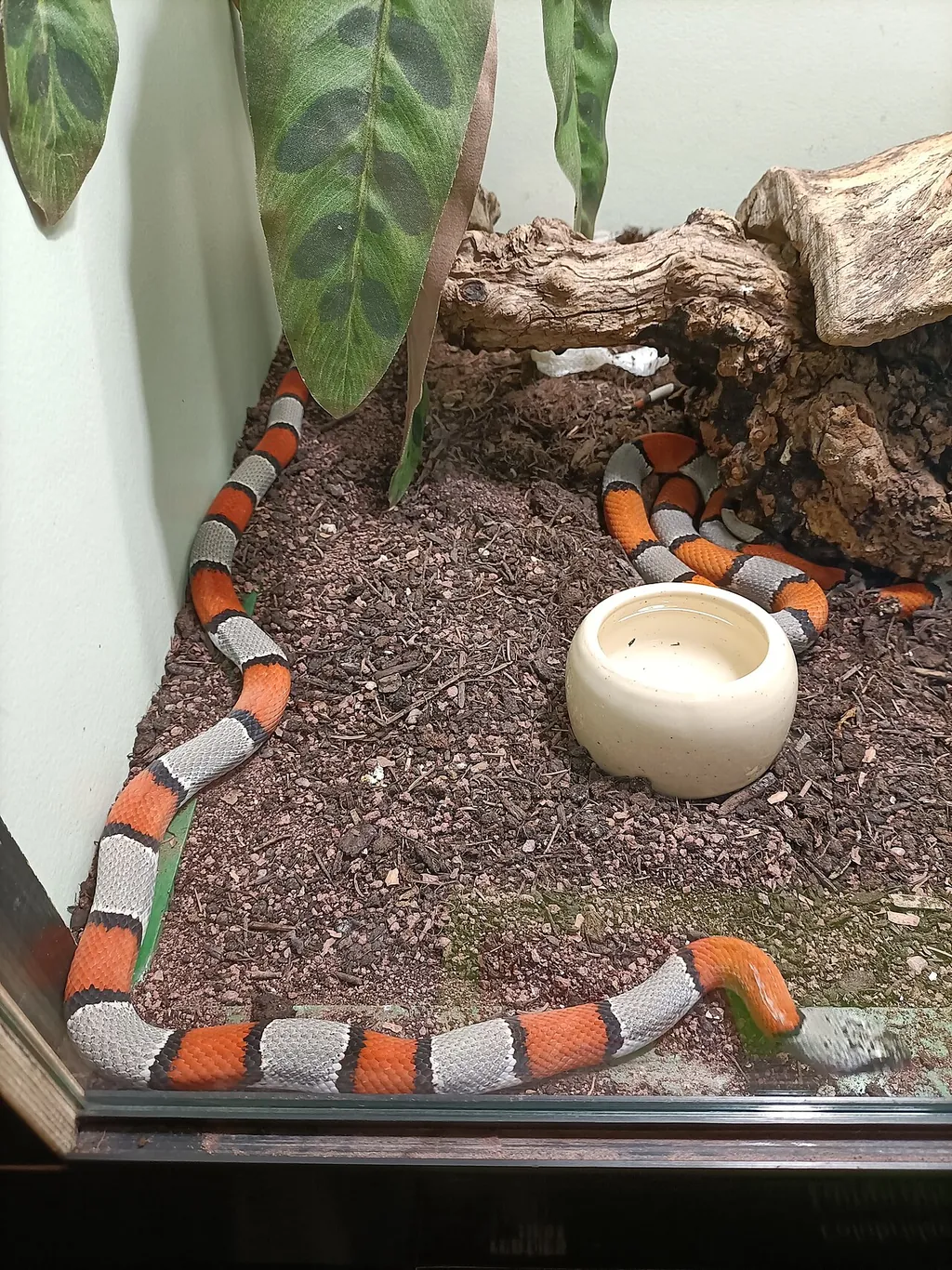 Museo di Storia Naturale Giacomo Doria in Genua – Bild 8 von 8