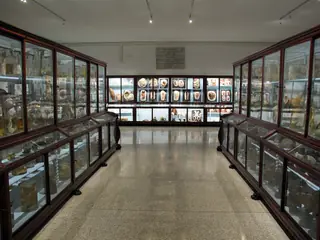 Museo di storia naturale sezione biomedica in Florence