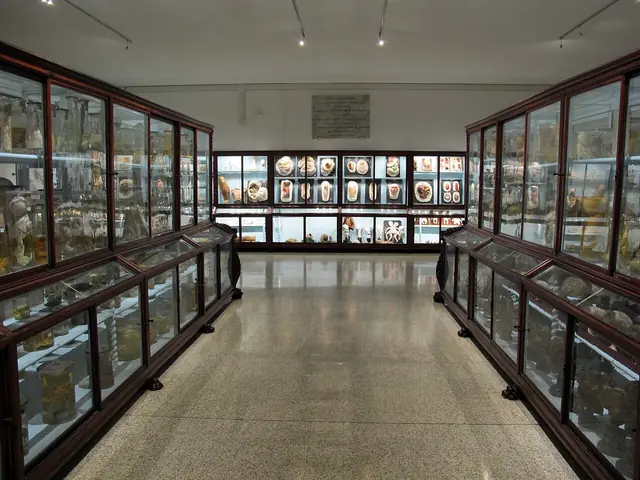 Museo di storia naturale sezione biomedica in Florens