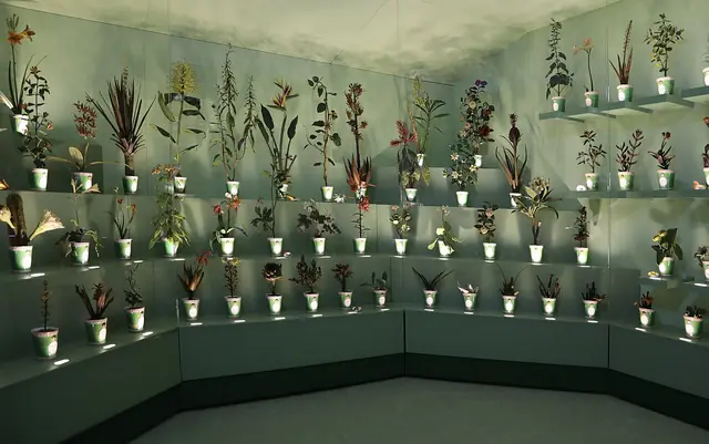 Museo di Storia Naturale – La Specola in Florence – Photo 4 of 8