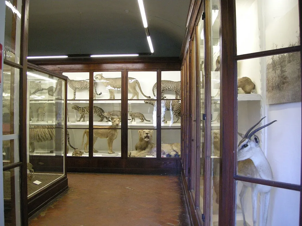 Museo di Storia Naturale – La Specola in Florence