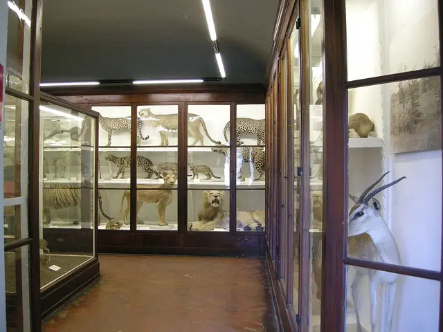 Museo di Storia Naturale – La Specola in Firenze