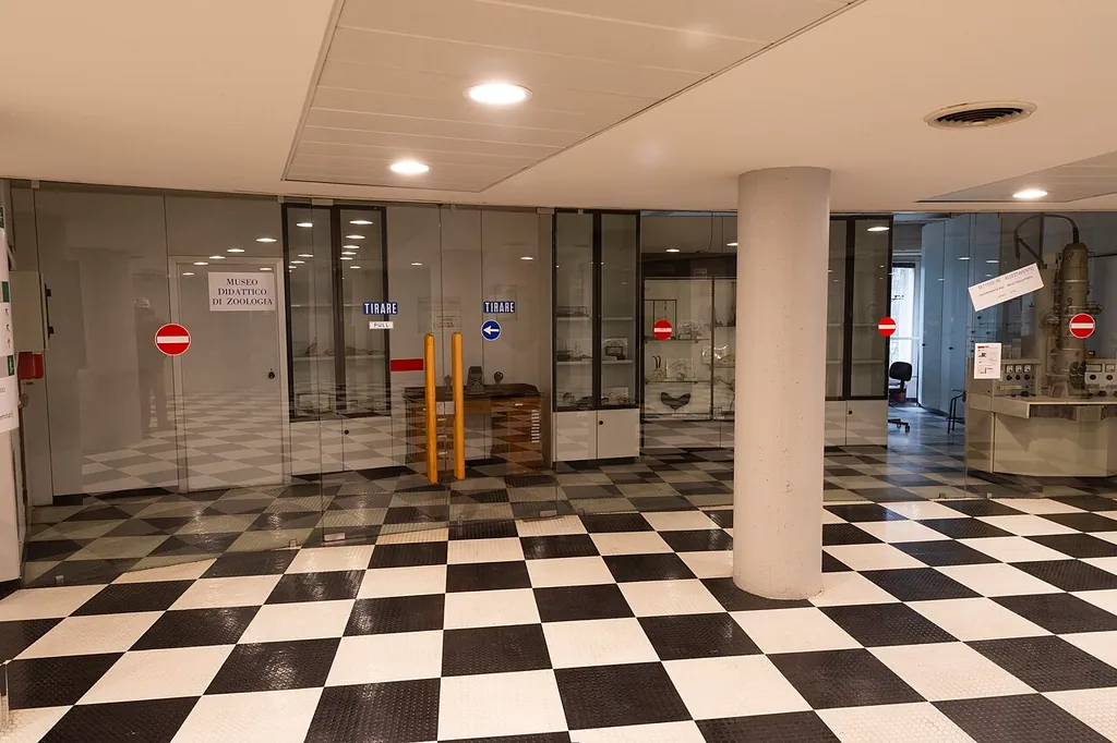 Museo didattico di zoologia in Milan