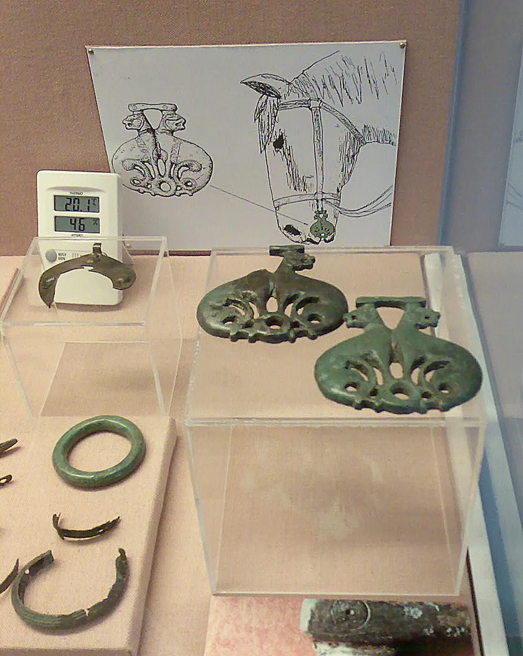 Museo do Castro de Viladonga in Castro de Rei