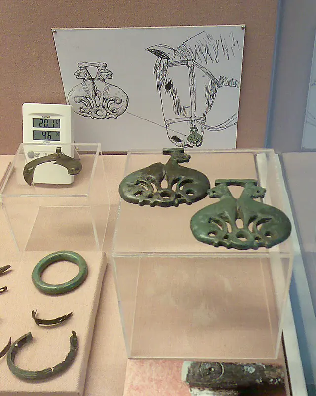 Museo do Castro de Viladonga in Castro de Rei