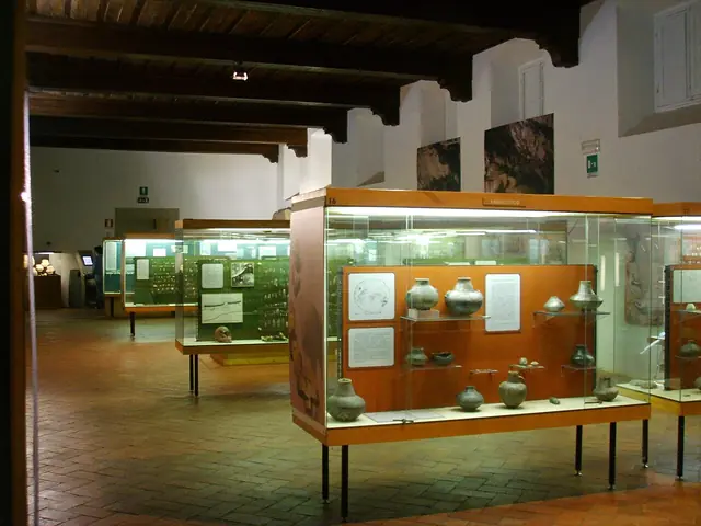 Museo e istituto fiorentino di preistoria in Florencia