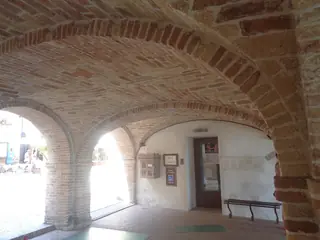 Museo Il Tarpato in Grottammare