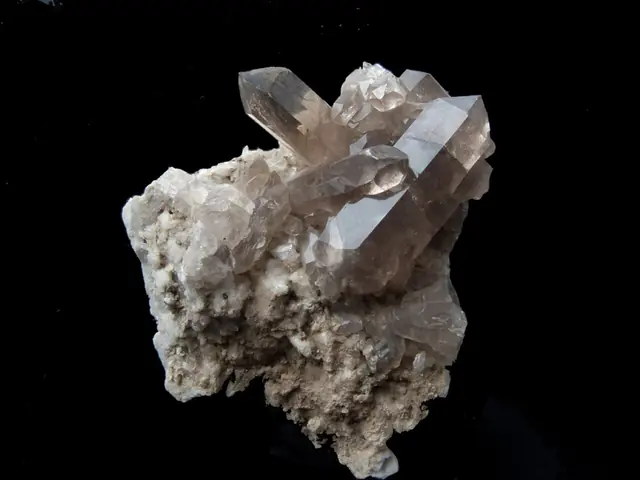 Museo mineralogico e paleontologico del Cenacolo Italo Mus in Saint-Vincent