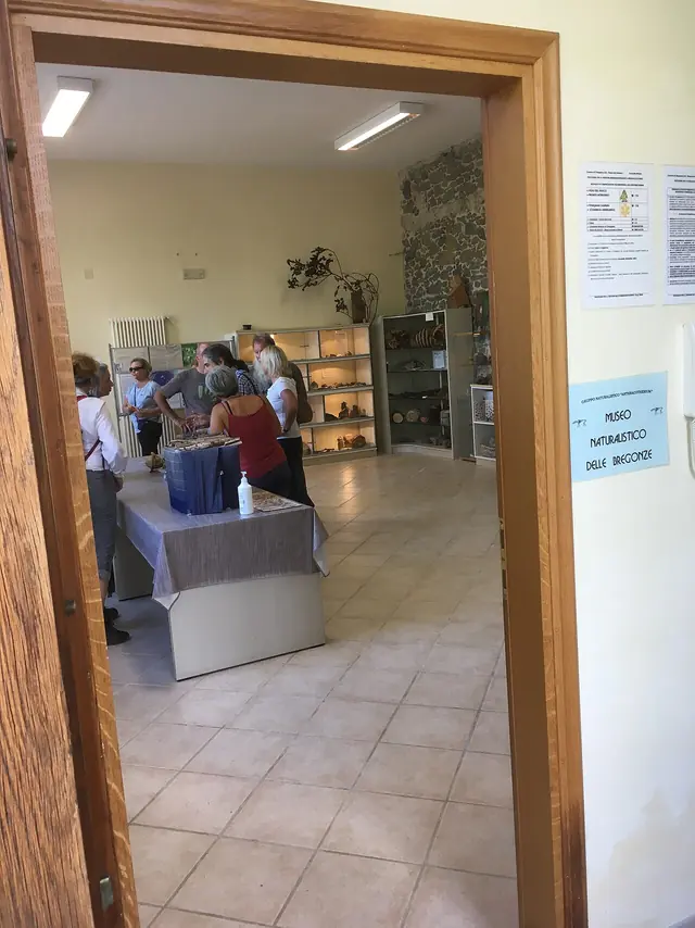 Museo Naturalistico delle Bregonze in Chiuppano