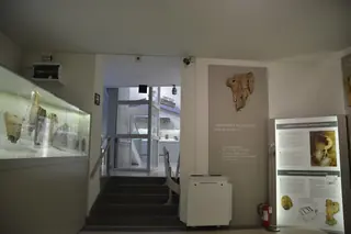 Museo Nazionale Etrusco di Villa Giulia in Rome – Photo 5 of 5