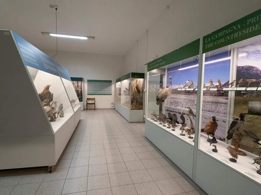 Museo Ornitologico Scanagatta in Varenna