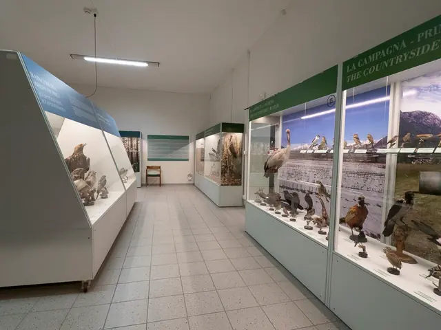 Museo Ornitologico Scanagatta in Varenna