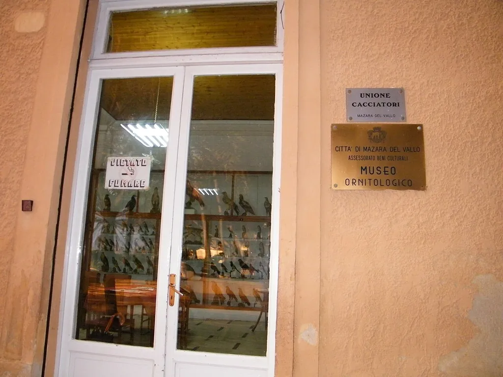 Museo ornitologico di Mazara del Vallo