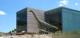 Museo de Paleontología de Castilla-La Mancha in Cuenca