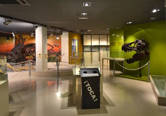 Museo Paleontológico de Elche in Elx
