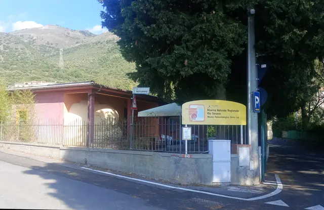 Museo paleontologico Silvio Lai in Ceriale