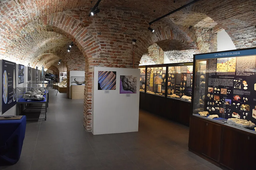 Museo paleontologico territoriale dell'Astigiano