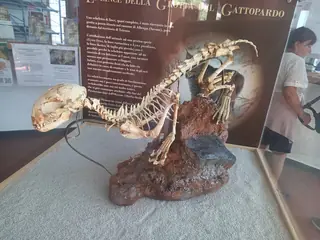 Museo preistorico della Val Varatella «Nino Lamboglia» in Toirano