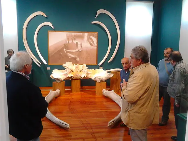 Museo Provincial do Mar in Cervo