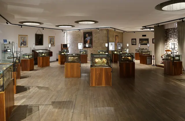 Museo delle Cere Anatomiche “Clemente Susini” in Cagliari