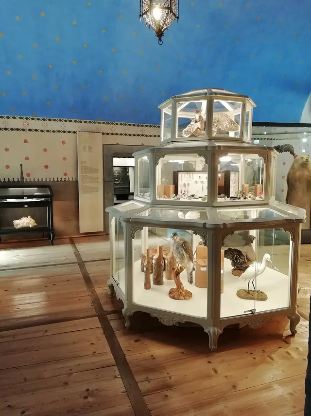 Museo regionale di scienze naturali Efisio Noussan in Saint-Pierre