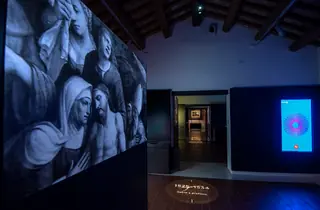 Museo Virtuale del Garofalo in Canaro