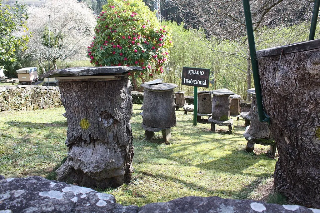 Museo Vivente do Mel in Arzúa