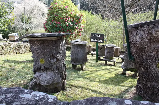 Museo Vivente do Mel in Arzúa