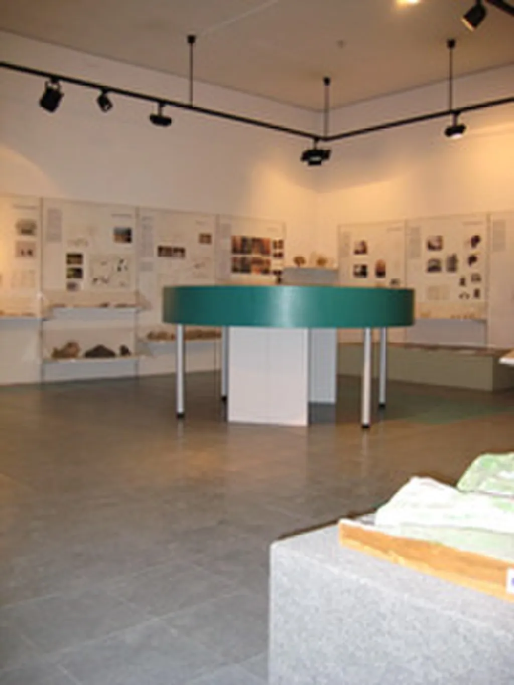 Museu Arqueològic de l'Esquerda in Roda de Ter