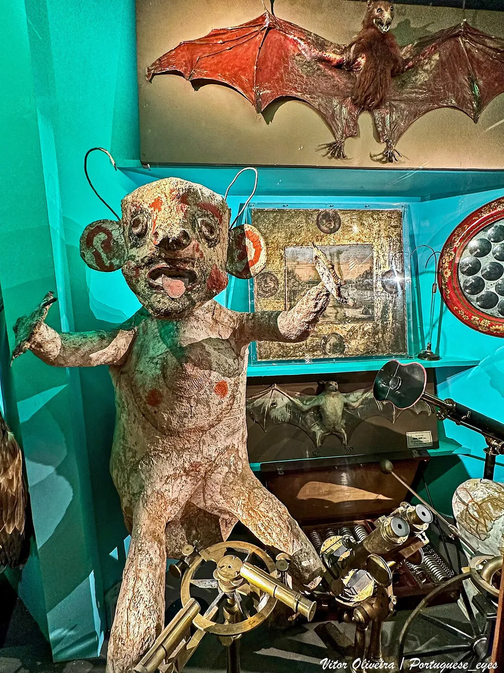 Museu da Ciência da Universidade de Coimbra – Bild 3 von 4