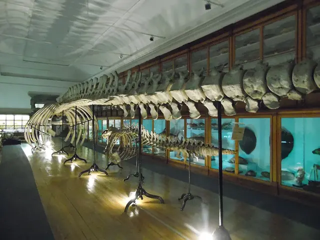 Museu da Ciência da Universidade de Coimbra